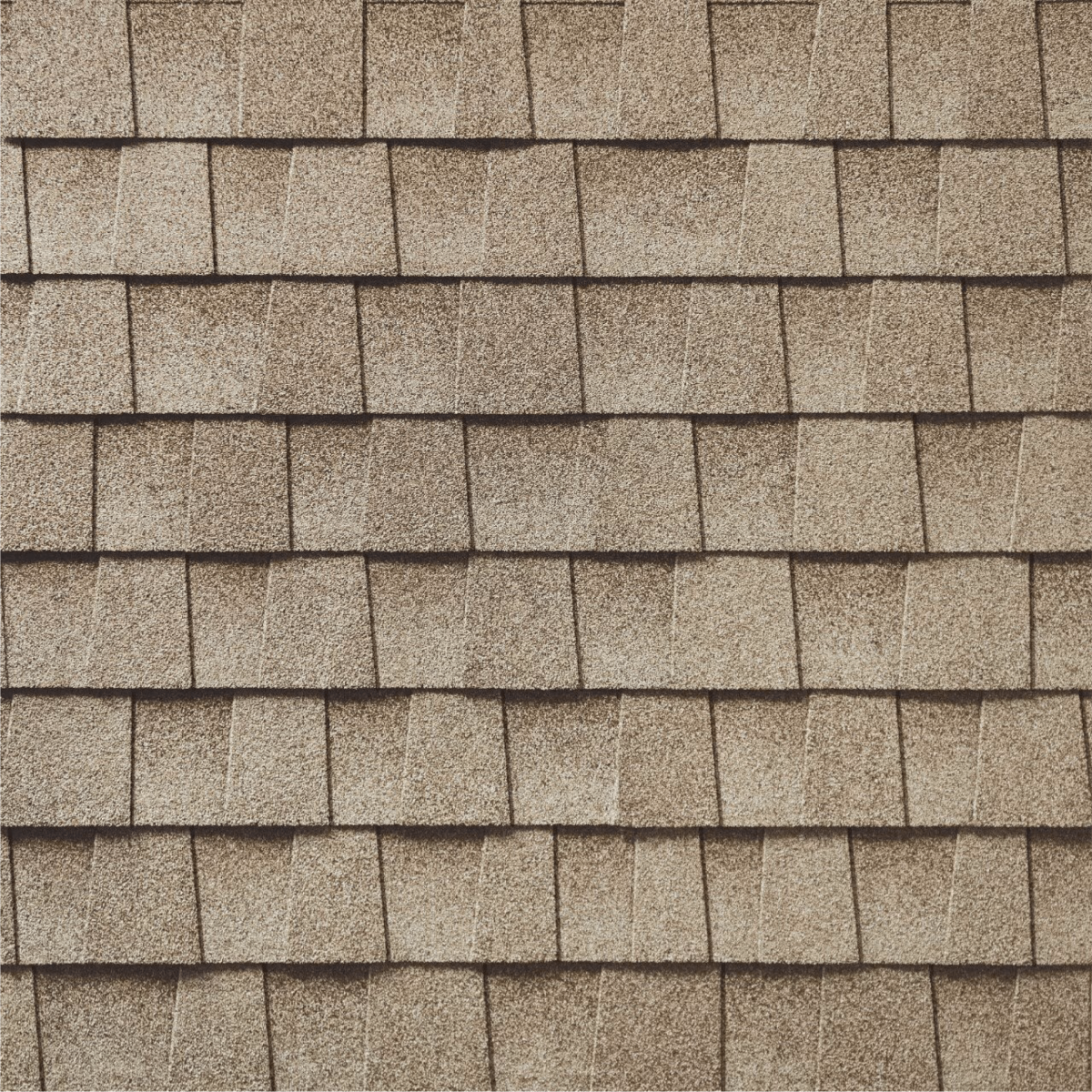 See Why Roofing Solutions Inc. Images