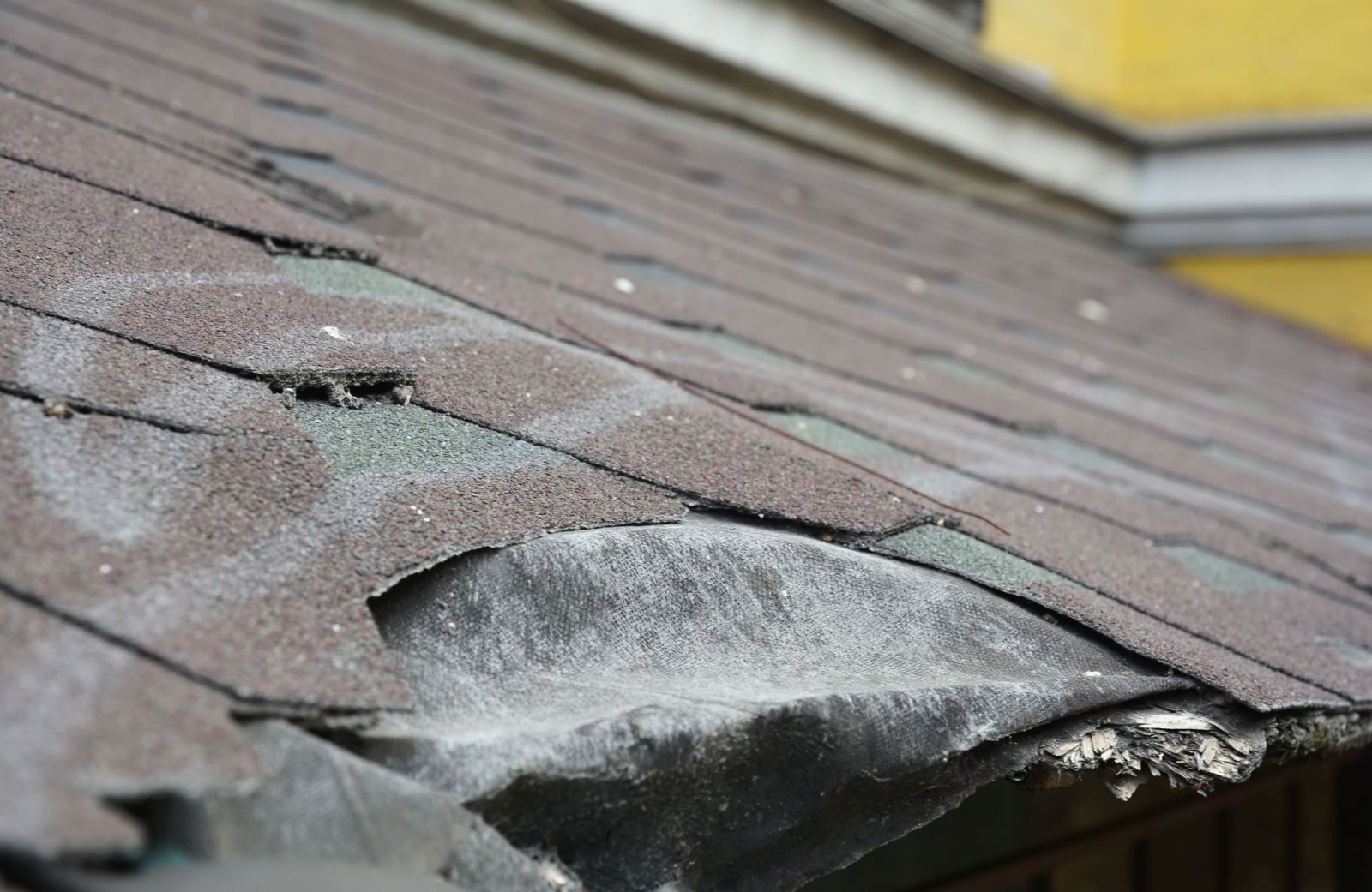 See Why Roofing Solutions Inc. Images