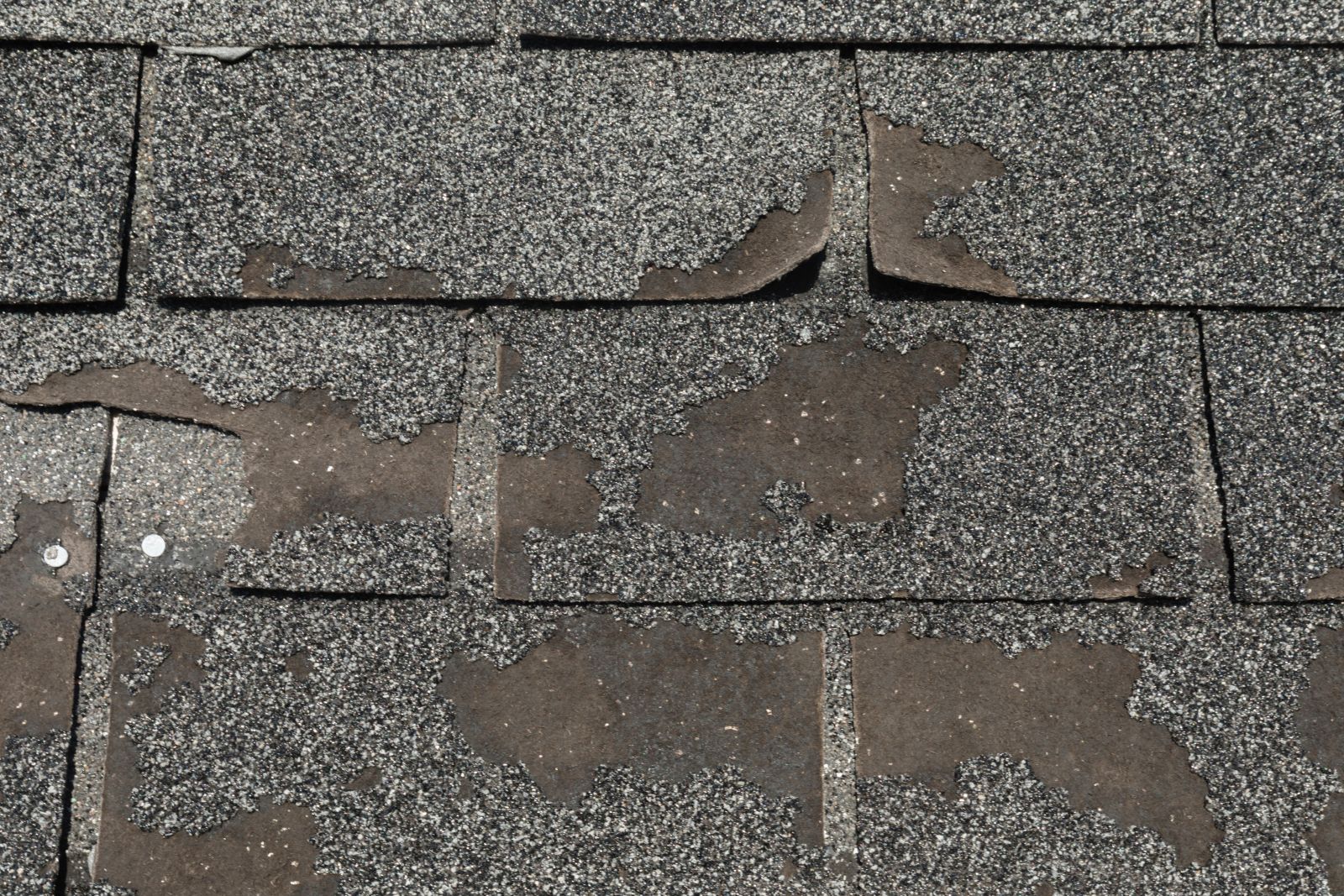 See Why Roofing Solutions Inc. Images