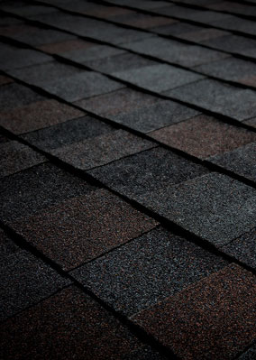 See Why Roofing Solutions Inc. Images