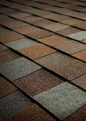 See Why Roofing Solutions Inc. Images