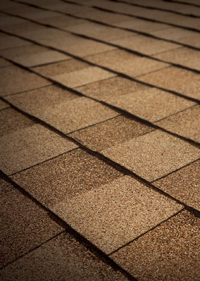 See Why Roofing Solutions Inc. Images