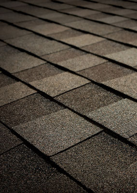 See Why Roofing Solutions Inc. Images