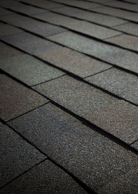 See Why Roofing Solutions Inc. Images