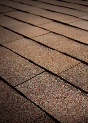 See Why Roofing Solutions Inc. Images